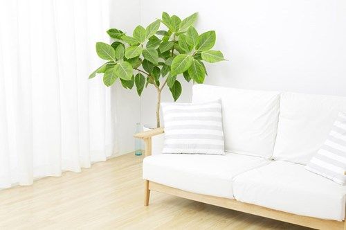 ホームページ公開しました。