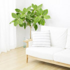 ホームページ公開しました。